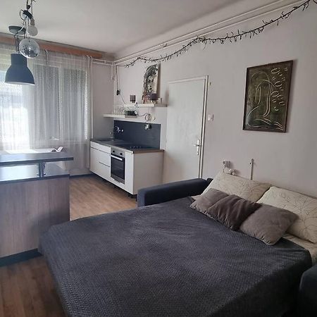 Cosy 2 Room Apartment With Nice Vibe, For Up To 4 Ljubljana Buitenkant foto