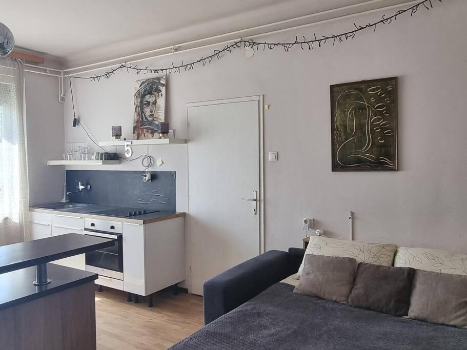 Cosy 2 Room Apartment With Nice Vibe, For Up To 4 Ljubljana Buitenkant foto